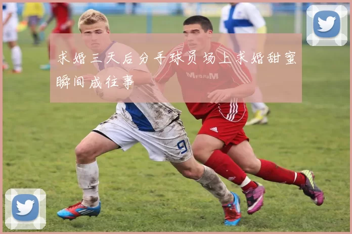 求婚三天后分手球员场上求婚甜蜜瞬间成往事